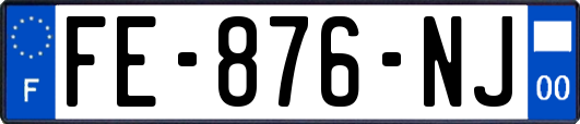 FE-876-NJ