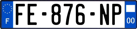 FE-876-NP