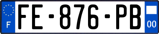 FE-876-PB