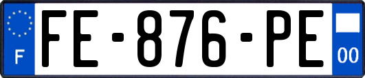 FE-876-PE