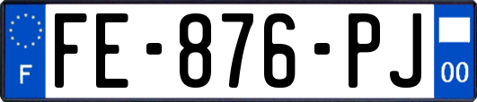 FE-876-PJ