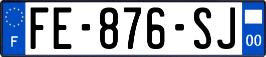 FE-876-SJ