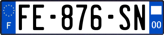 FE-876-SN