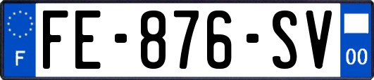 FE-876-SV
