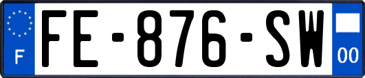 FE-876-SW