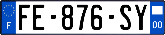 FE-876-SY