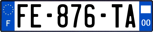 FE-876-TA