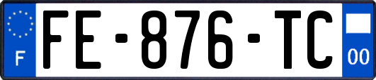 FE-876-TC