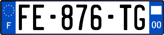 FE-876-TG