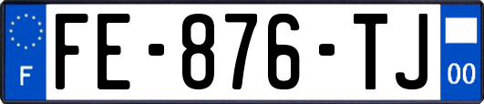 FE-876-TJ