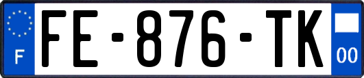 FE-876-TK