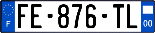 FE-876-TL