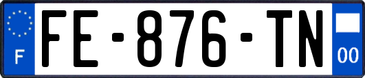 FE-876-TN