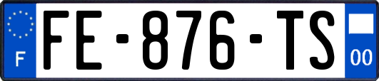 FE-876-TS