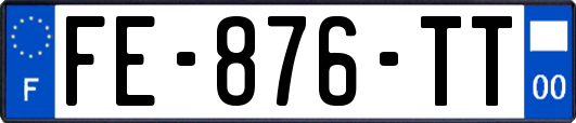 FE-876-TT