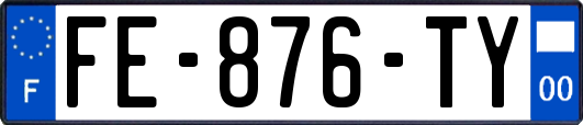FE-876-TY
