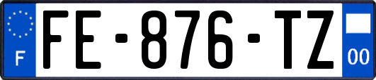 FE-876-TZ