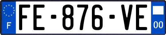 FE-876-VE