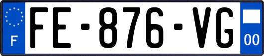 FE-876-VG