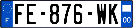 FE-876-WK