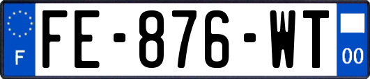 FE-876-WT