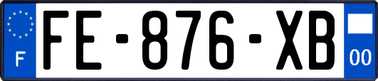 FE-876-XB