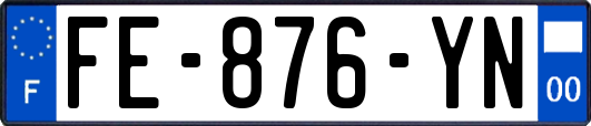 FE-876-YN