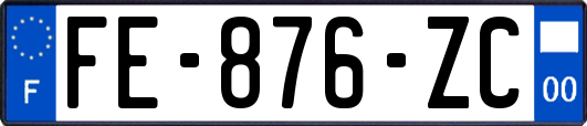 FE-876-ZC