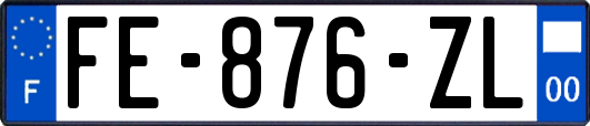 FE-876-ZL