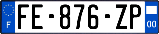 FE-876-ZP