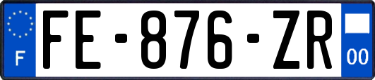 FE-876-ZR