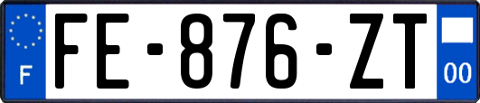 FE-876-ZT