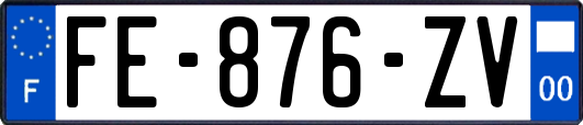 FE-876-ZV