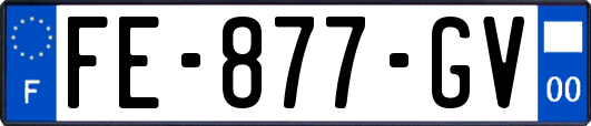 FE-877-GV