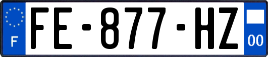 FE-877-HZ