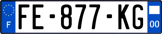 FE-877-KG