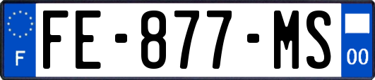 FE-877-MS