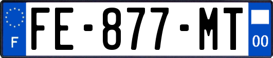 FE-877-MT