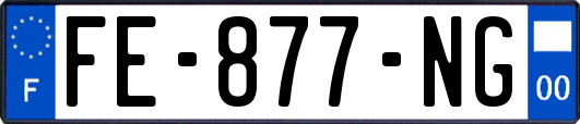 FE-877-NG