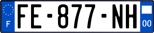FE-877-NH