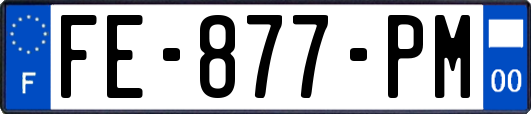 FE-877-PM