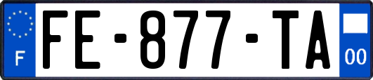 FE-877-TA