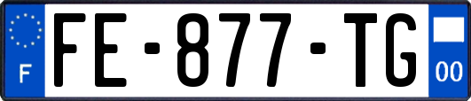FE-877-TG