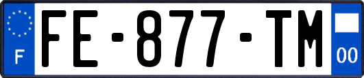 FE-877-TM