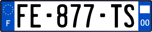 FE-877-TS
