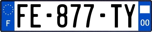 FE-877-TY