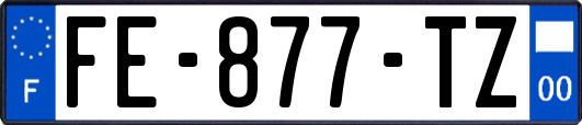 FE-877-TZ