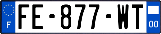 FE-877-WT
