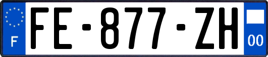 FE-877-ZH