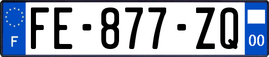 FE-877-ZQ